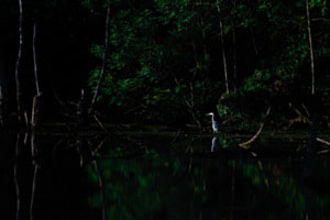 Stille Stille