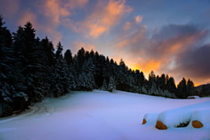 Schneelandschaft