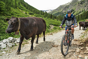 Begegnung zweier Mountainbiker Begegnung zweier Mountainbiker