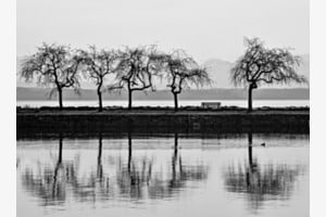 Neuenburgersee