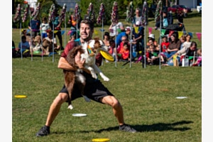 Hundesport Hundesport