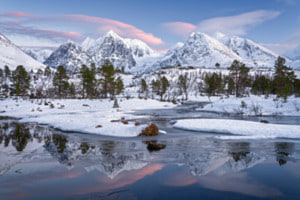 Whispers of Winter Light