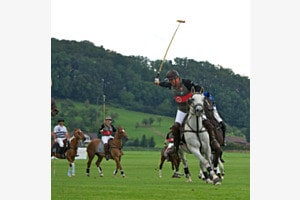 Polo Polo