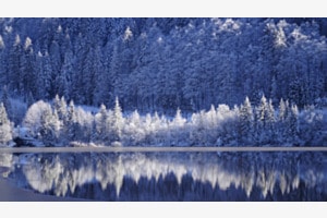 Lac Brenet VD