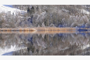 Lac Brenet VD