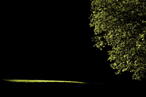 Ombre teintée verte