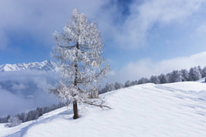zauberhafte Winterwelt
