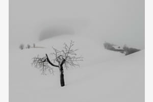 Im Schnee versunken