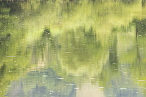 Grün