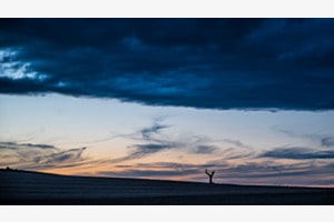 Solitär Solitär