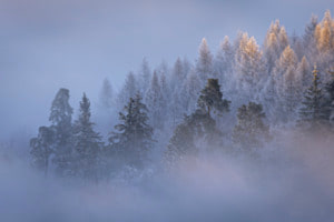 Nebel-Insel Nebel-Insel