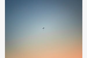 Abendflug (Abstract)