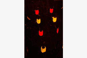 Fenêtre de lampions
