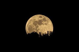 Pleine lune