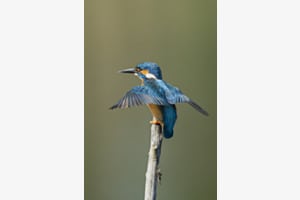 Immer ein wunderbarer Anblick! Immer ein wunderbarer Anblick!