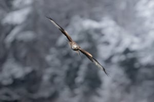 Auf Kurs 