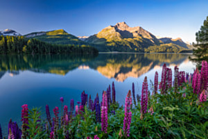 Sonnenaufgang am Silsersee