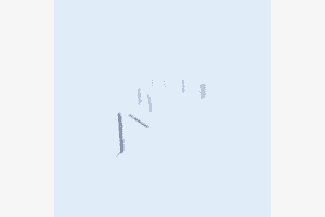 Weg? Weg?