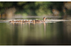 Familienausflug Familienausflug