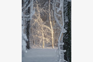 Magical light