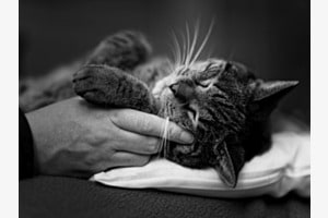 Lay back and enjoy... Lay back and enjoy...