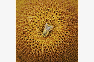 Mittendrin Mittendrin
