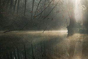 Spiegel der Stille