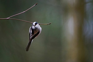 Balance im Stillen Balance im Stillen