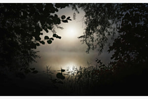 Das Fenster der Natur Das Fenster der Natur