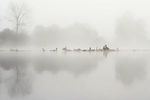 Der See im Nebelkleid