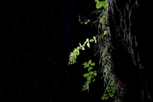Lichtspiel in der Aareschlucht Lichtspiel in der Aareschlucht