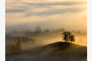 Goldener Morgennebel