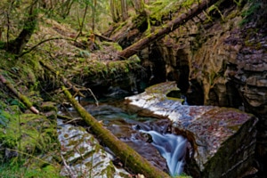 Flemschlucht Flemschlucht