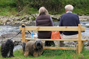 Together in old age Together in old age