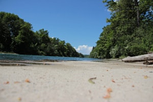 Ar Grüänä Aare Ar Grüänä Aare