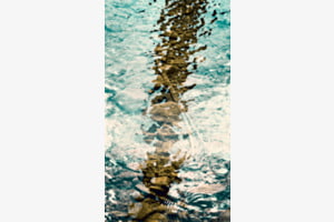 Licht und Schatten im Wasser 
