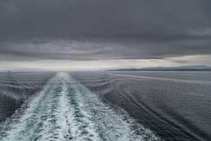 Nur Wasser bis zum Horizont