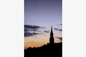 Berns Silhouette