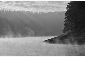 Stille 
