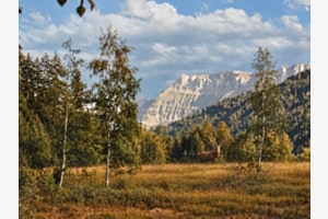 Hirsch vor alpiner Bergkulisse