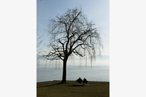 Le calme Le calme