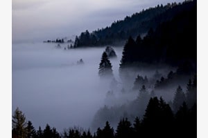 dans un songe