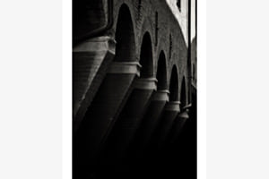 Laube in Bologna