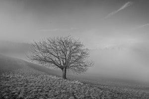 Nebel im Winter Nebel im Winter