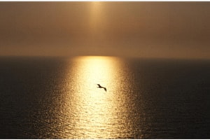 In der Mitte