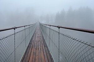 Die Brücke Die Brücke