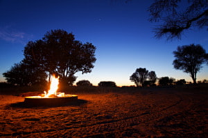 Kalahari Dusk