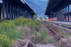 Blühender Bahnhof
