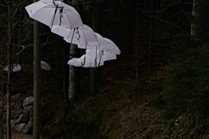 Blausee Blausee