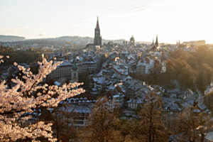Wintercomeback in der Blütenzeit